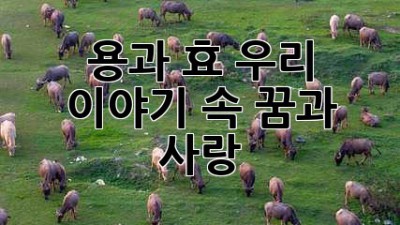 용과 효🐉 우리 이야기 속 꿈과 사랑💖